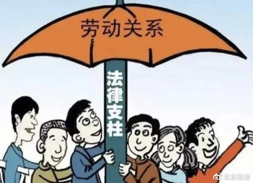 热播剧普法 | 人前“向日葵”胡晶晶，需要一个学法律的朋友